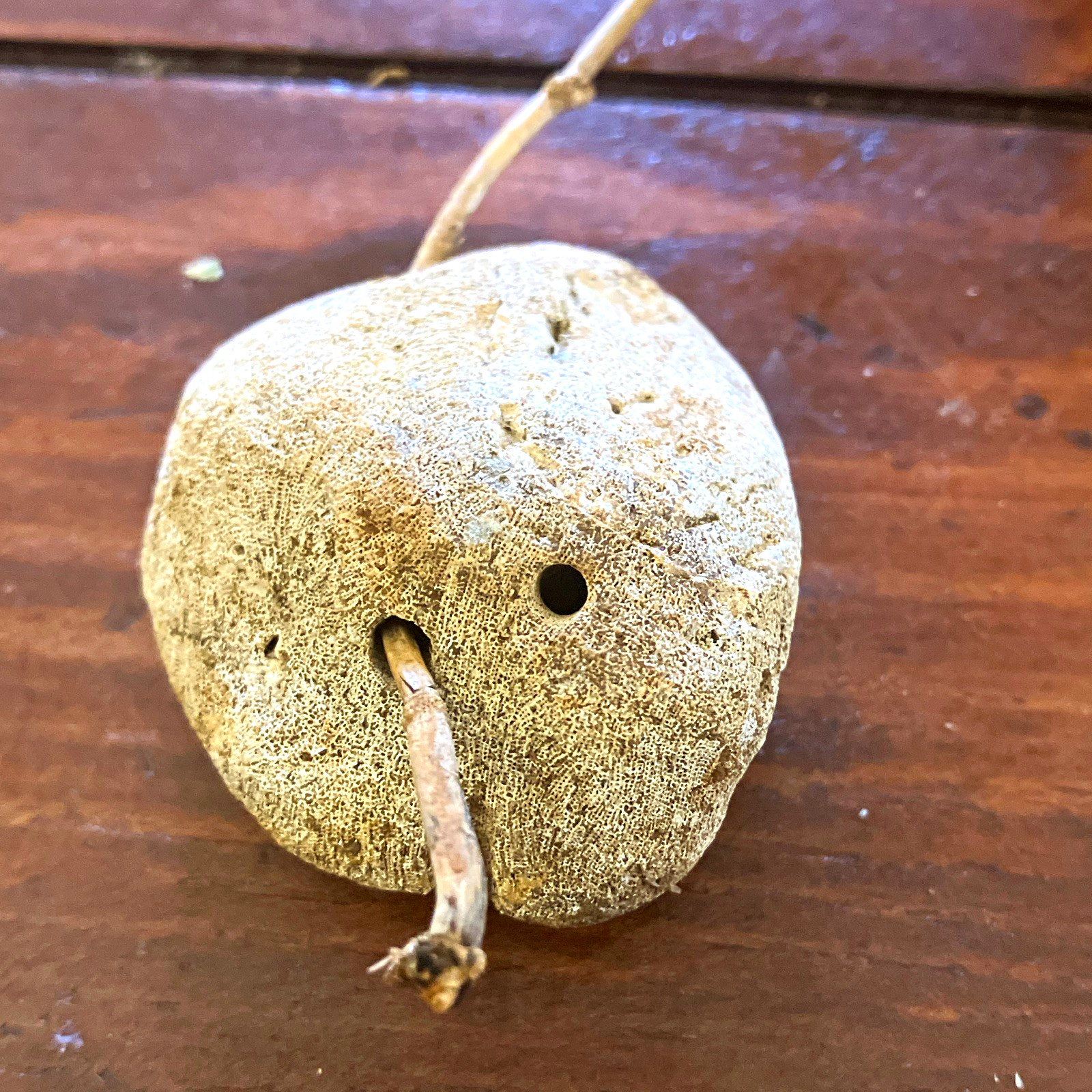 ancient Hawaiian Fishing Artifacts