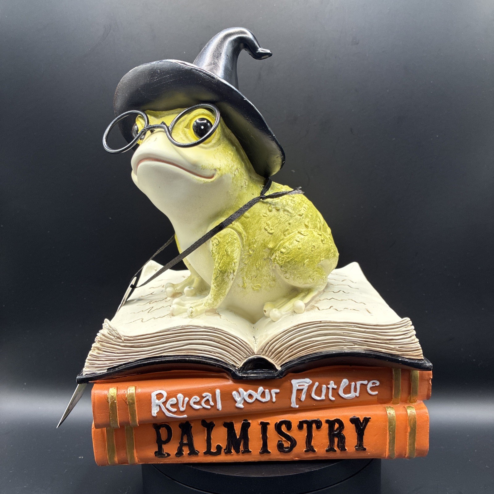 Halloween Witch Frog Figurine Decor Toad on Stacked Books Statue NWT