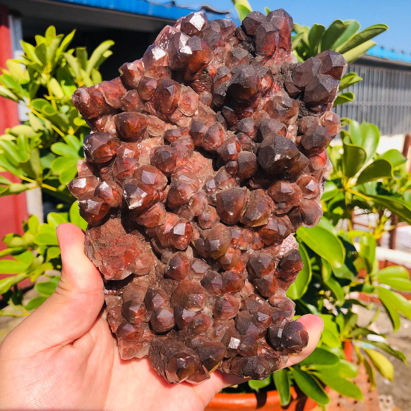 2.58lb Natural Chocolate Calcite Coarse Quartz Crystal Mineral Specimen Healing