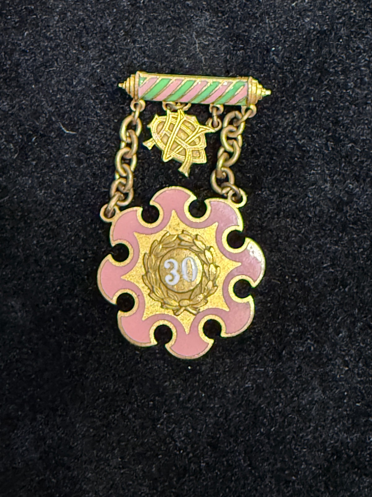 Antique 1915 Oregon Woodmen Circle SFWC 30 Year Service Medal Brooch Pin Enamel
