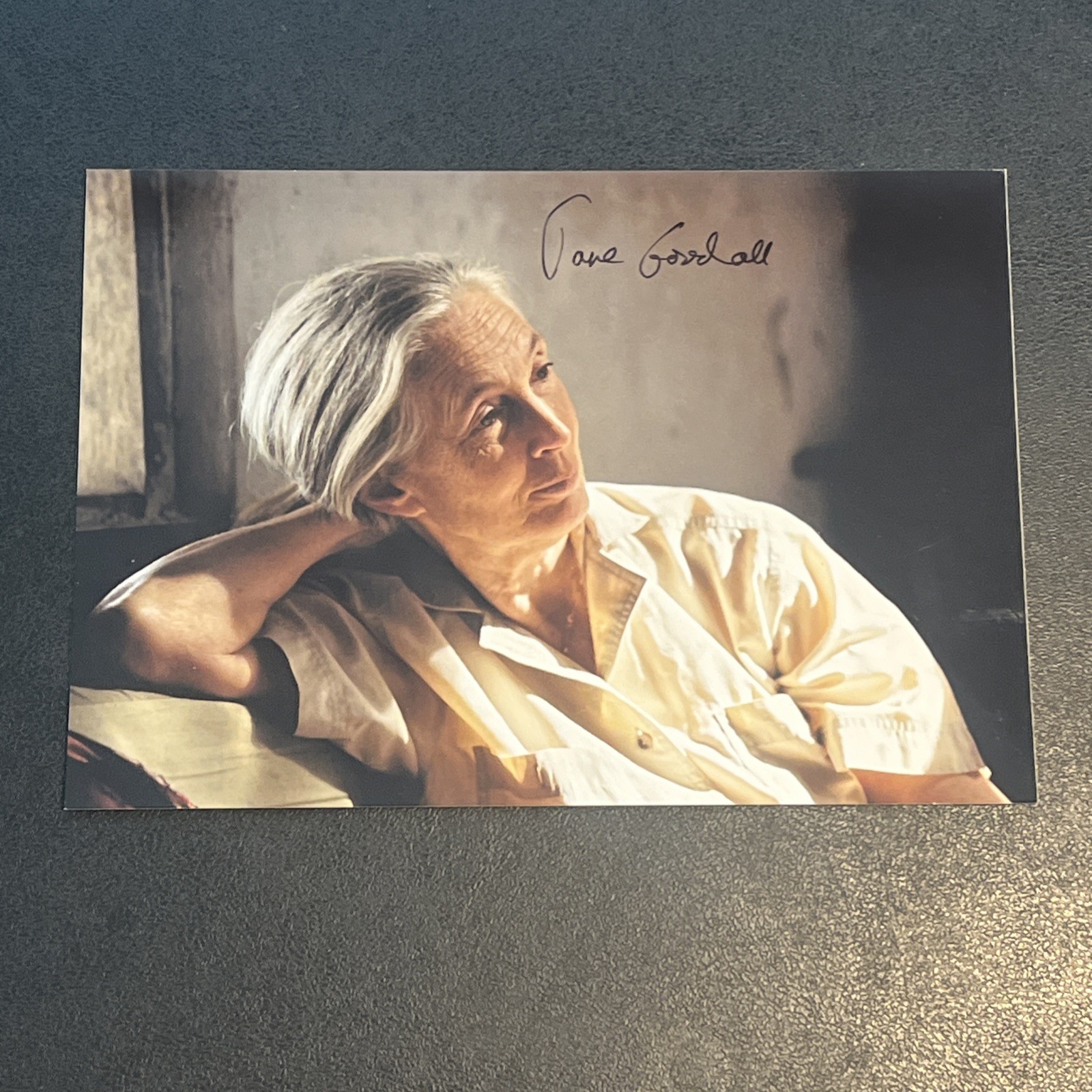 Jane Goodall (d. 2025)  Zoologist Primatologist Anthropologist Signed 5X7 Photo