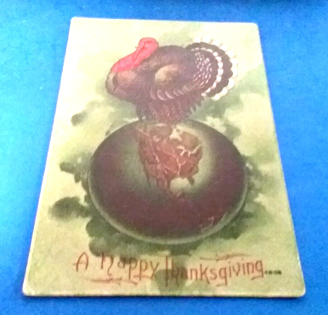 (pgasteelers1) Thanksgiving-   turkey sitting on globe🌠