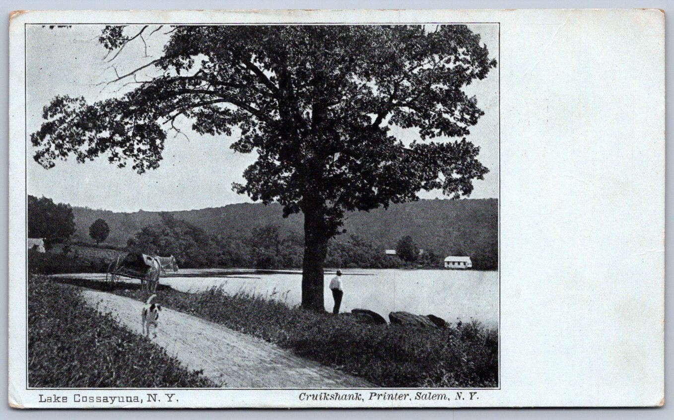K50/ Lake Cossayuna New York Postcard c1910 Pet Dog Walkway Shore 464