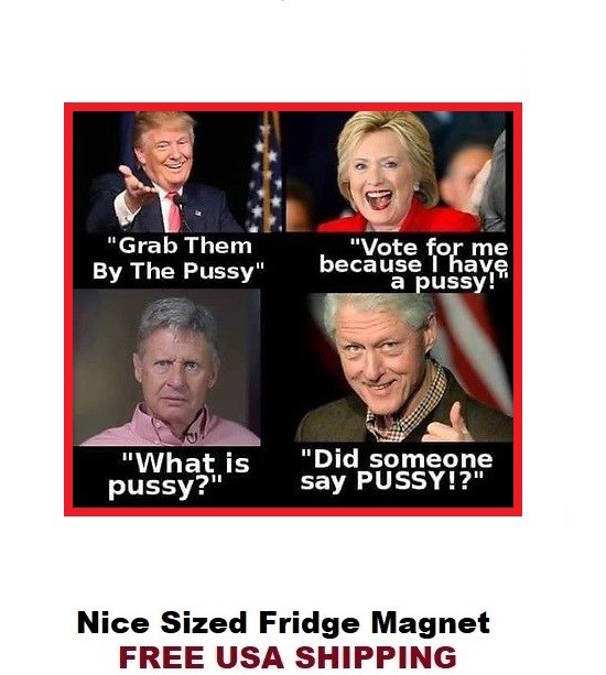 557 - Funny Grab Pussy Meme Nice Refrigerator Magnet 