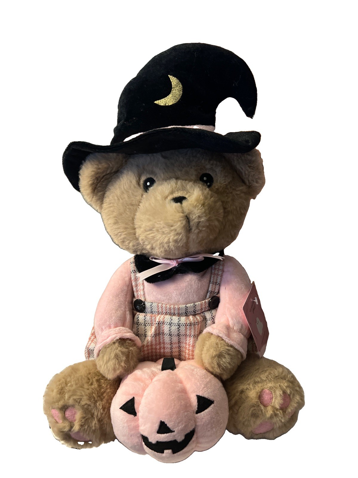 Pink Halloween Teddy Bear in Witch Hat with Weighted Bottom 17 inch NEW Tags