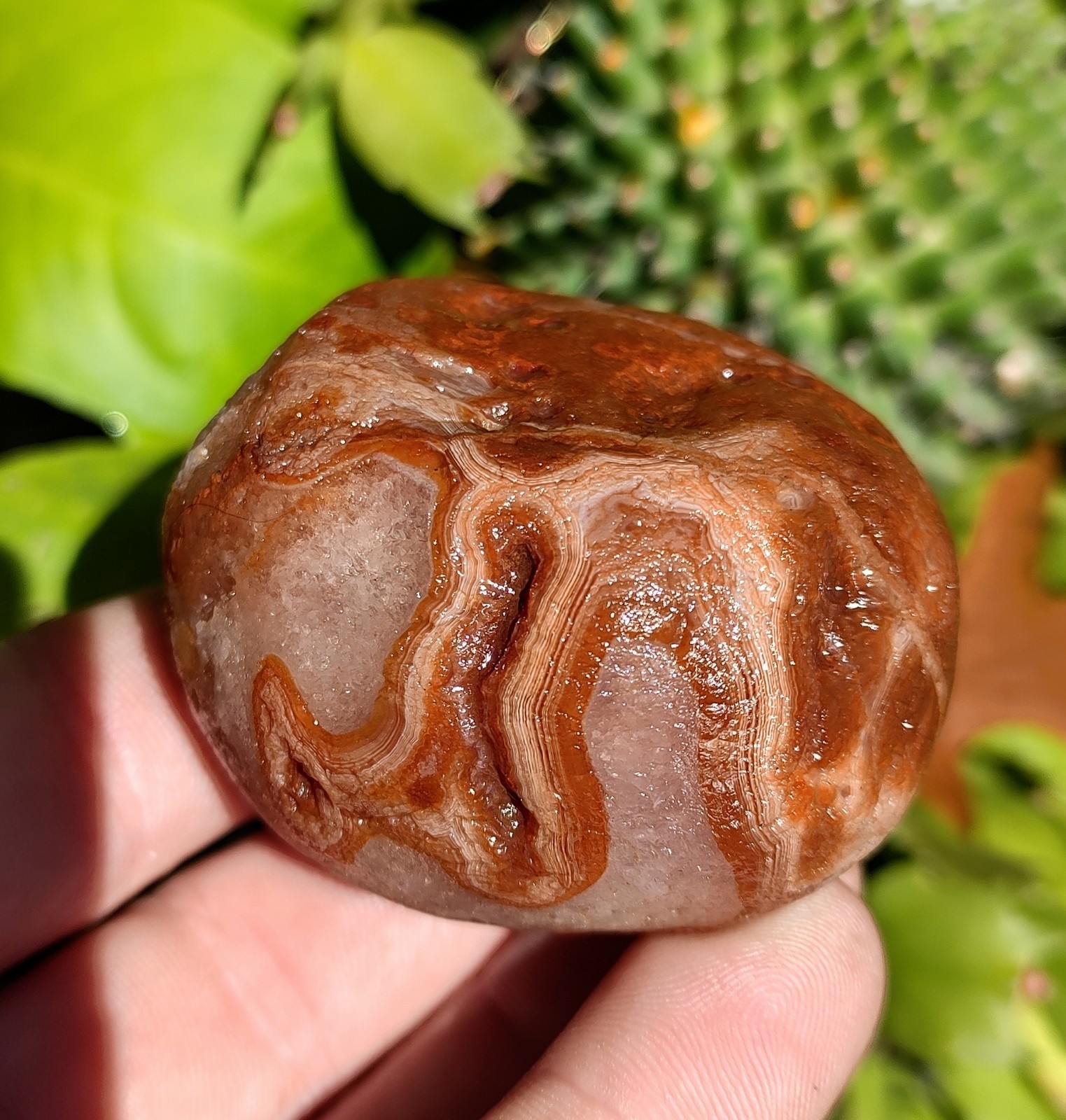 Lake Superior Agate, 6.2oz Crystal Quartz Floater Agate