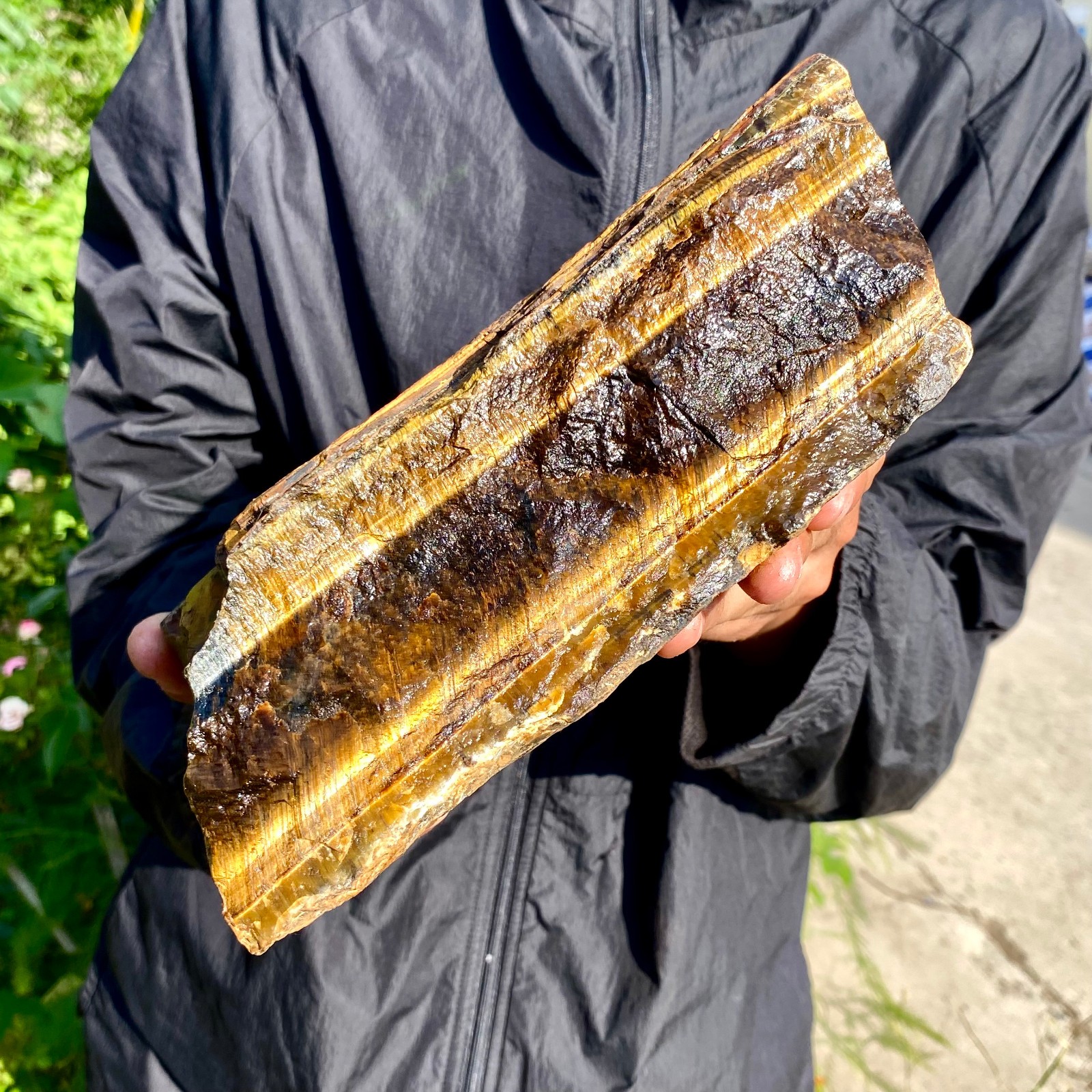 8.13LB Natural tiger's Eye rough raw stone rock specimrn madagescar