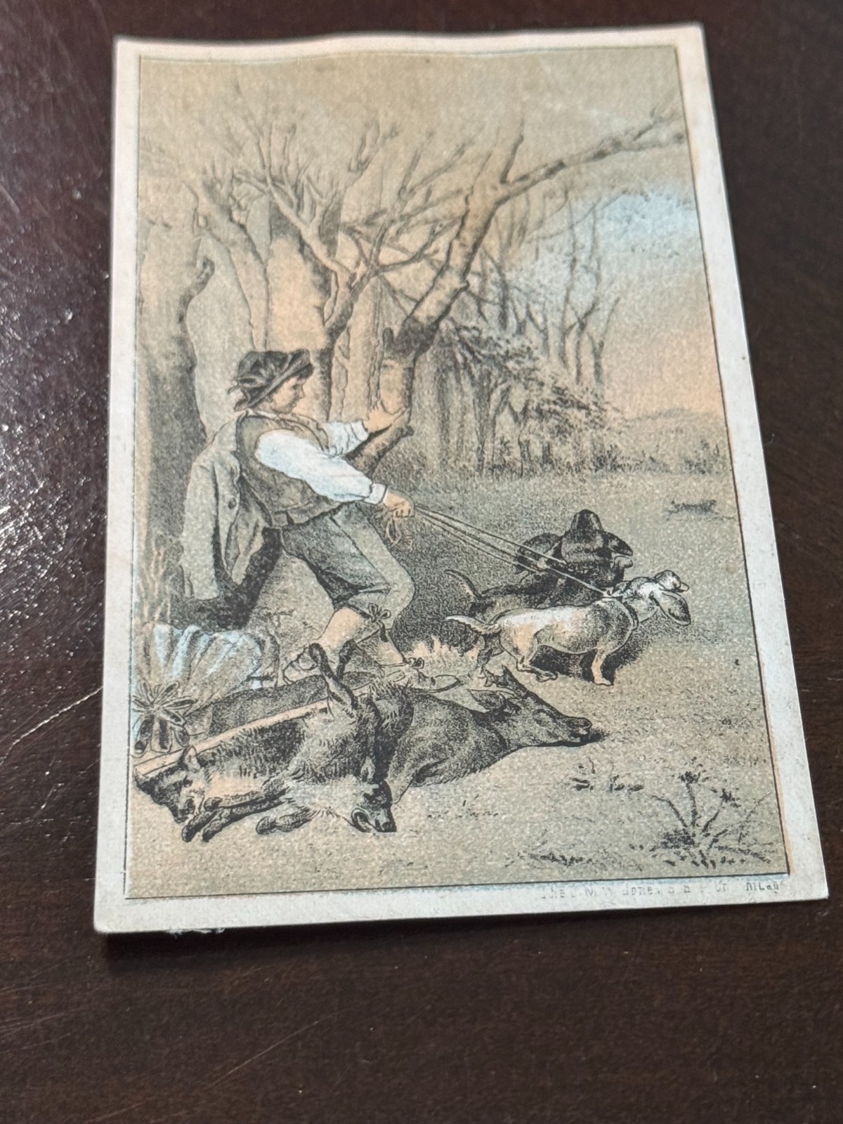 B-319 Vintage 1880's DAVIS VERTICAL FEED SEWING MACHINE Boy with dogs