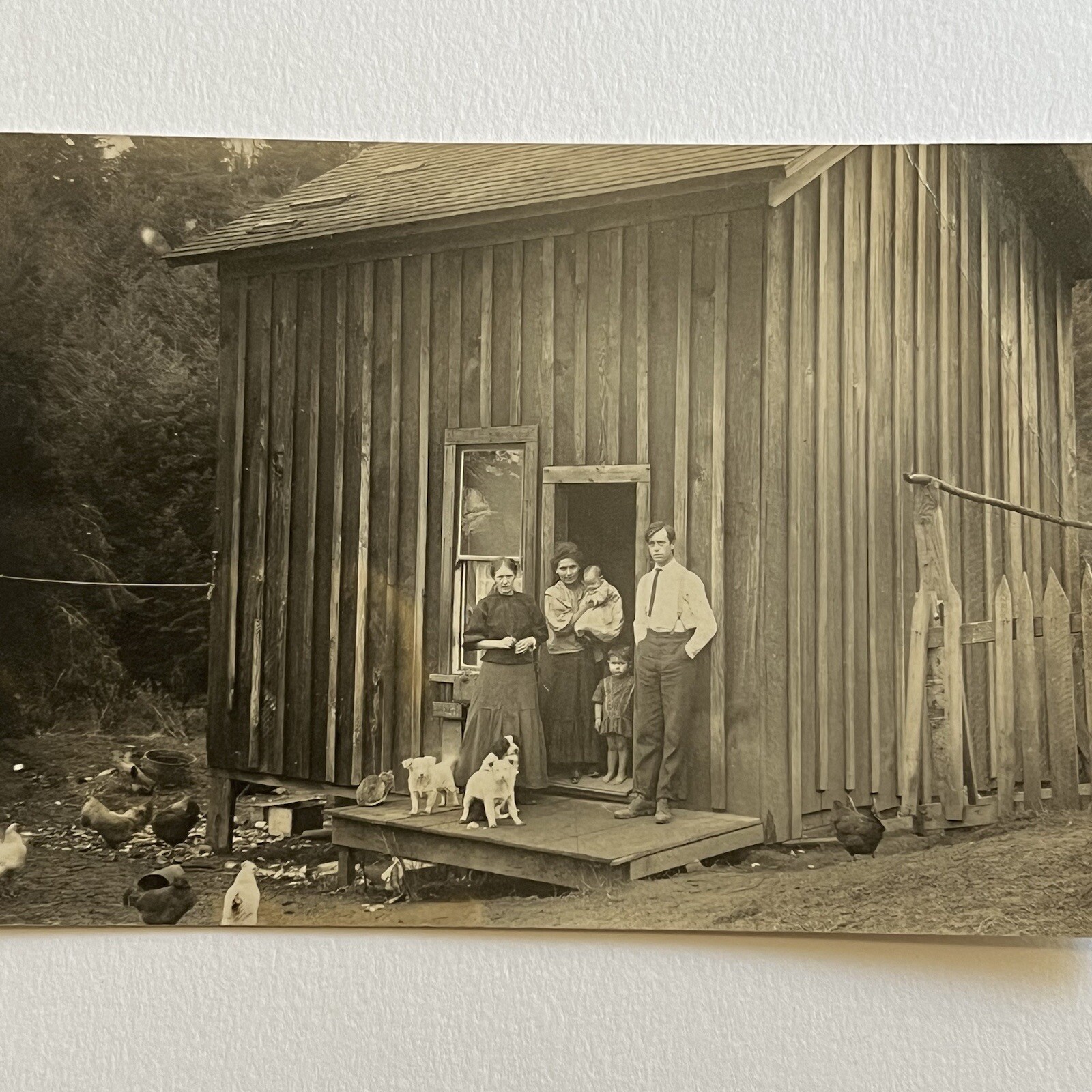 Antique RPPC Real Photograph Postcard Homestead Everyday Life Family Poverty Dog
