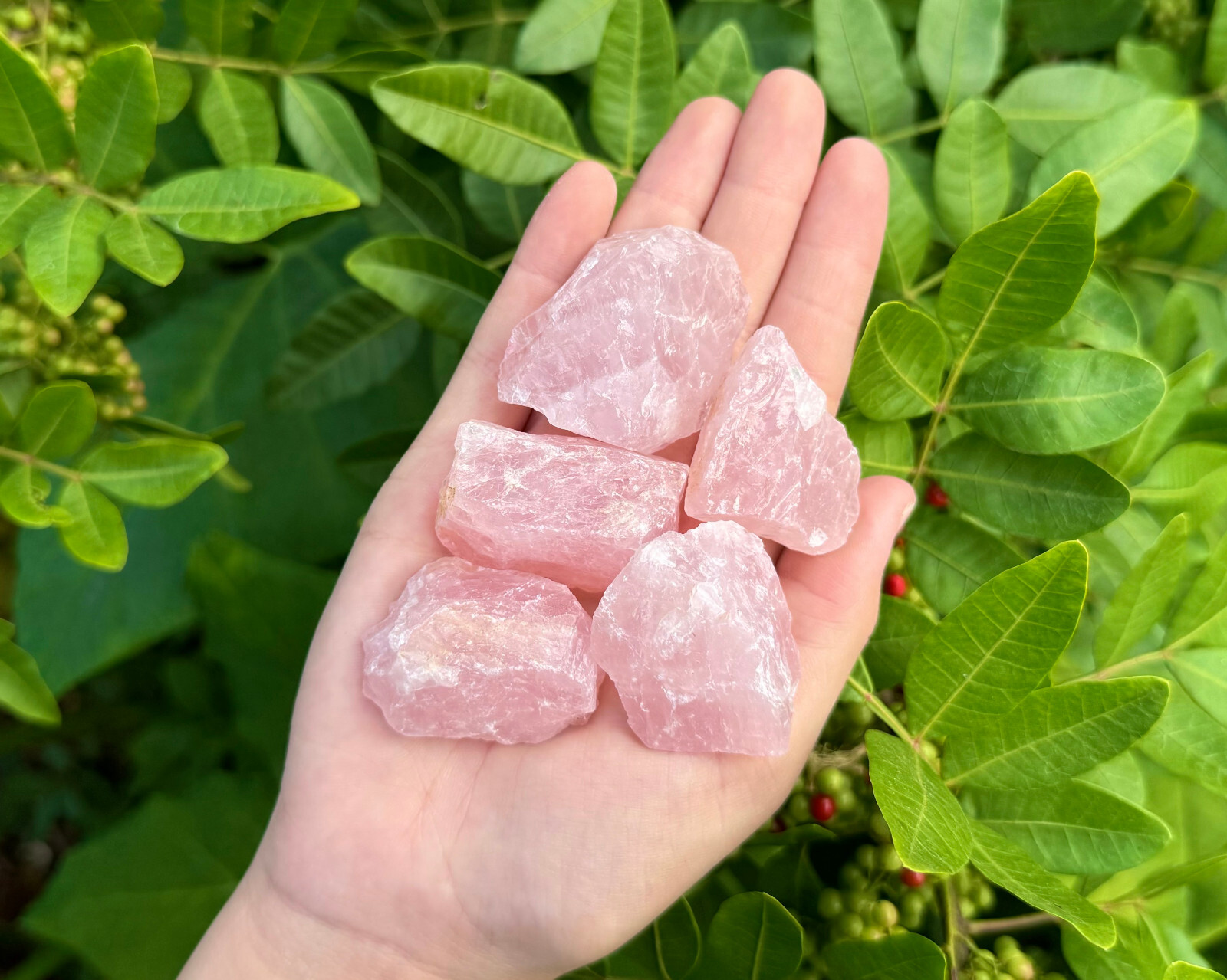 5 Brazil Rose Quartz Rough Natural Stones: 'A' Grade Crystals