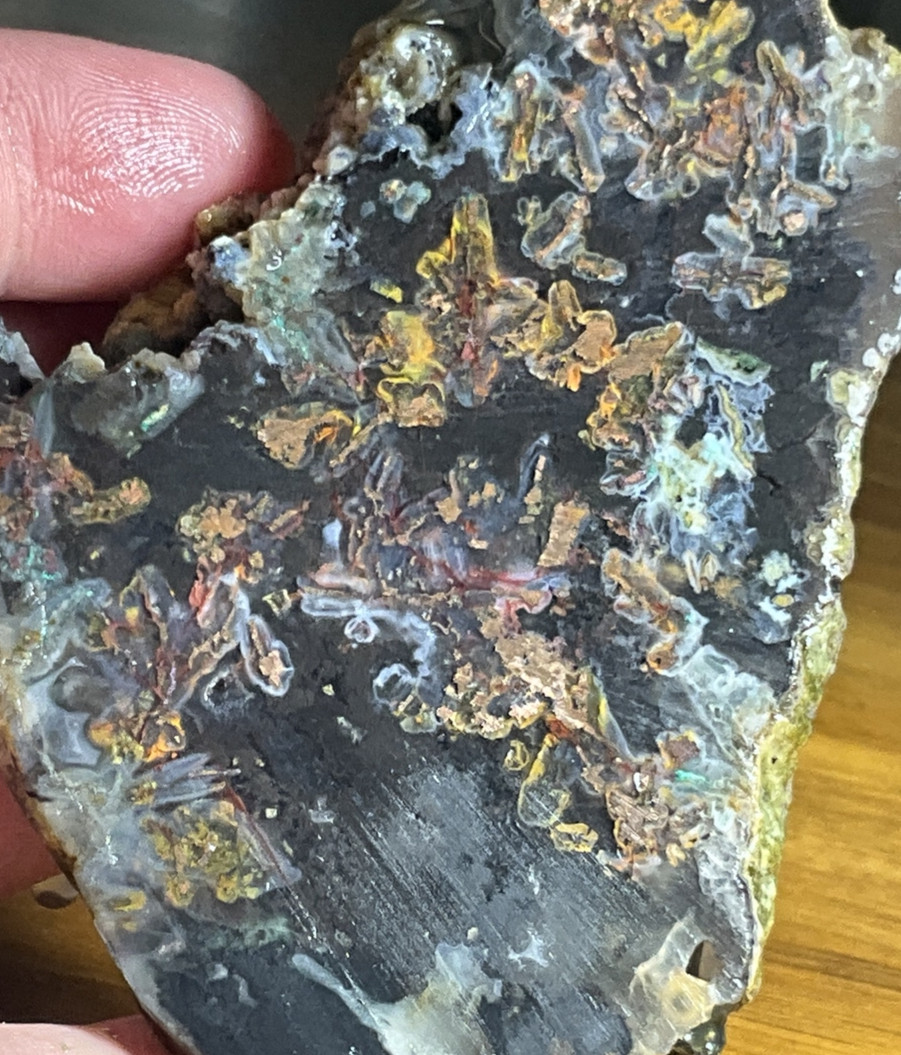 Chrysocolla Copper Petrified Wood Indonesian Rare Beautiful Natural Untreated #C