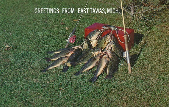 Black Bass Fishing-East Tawas, Michigan 1961 vintage unposted