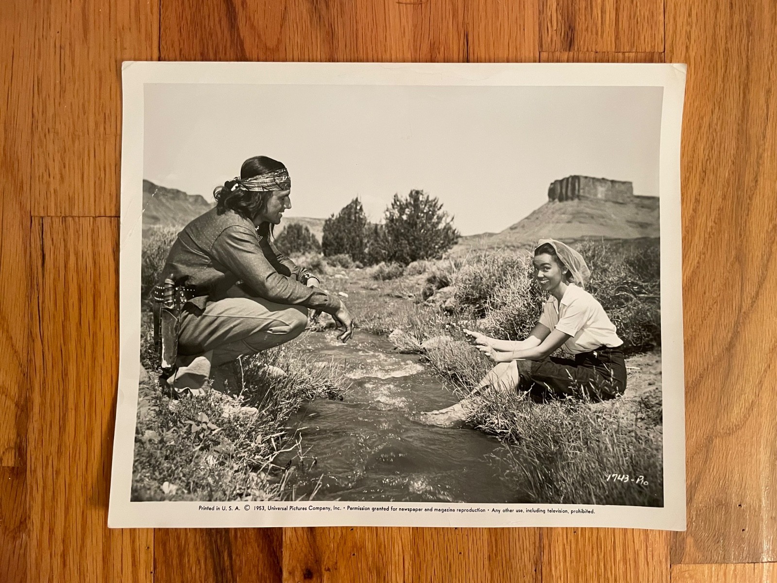 Vintage 1953 TAZA, SON OF COCHISE Photo, Universal