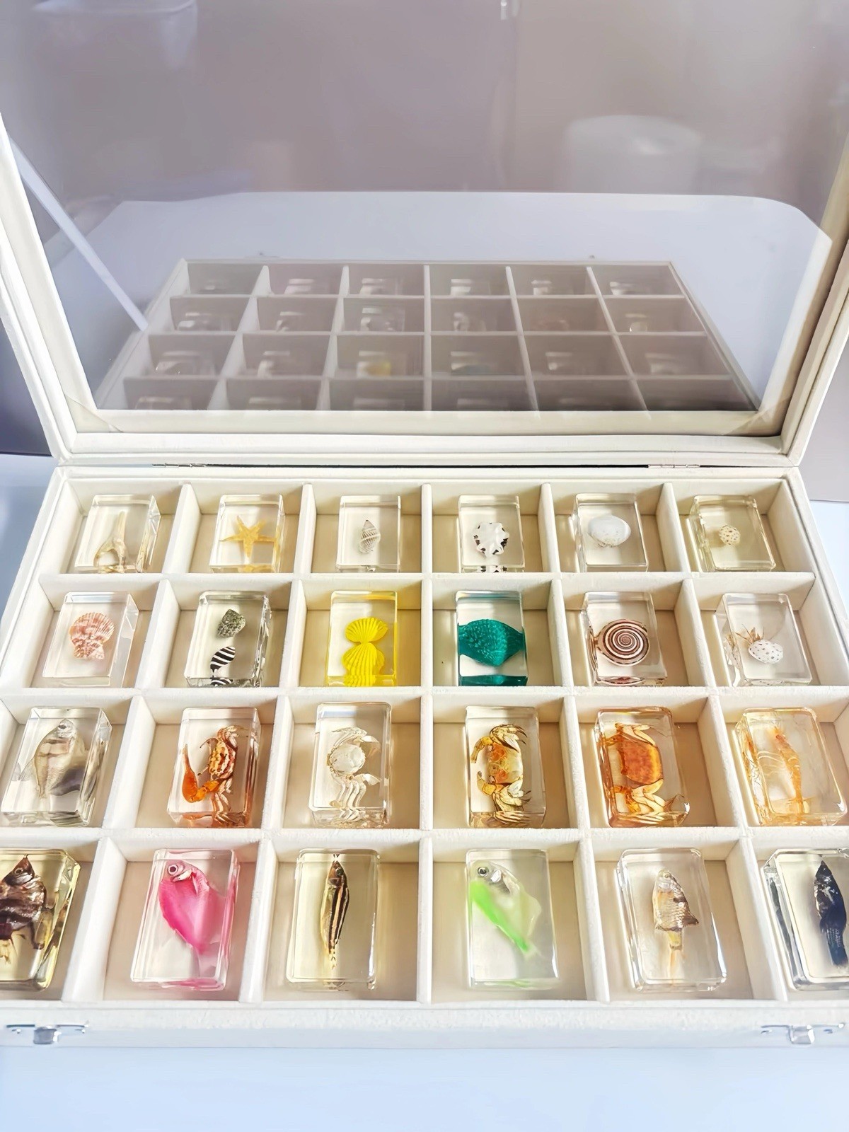 24 Pcs Marine Tropical Fish in Resin Collection Paperweights Specimen Resin lot