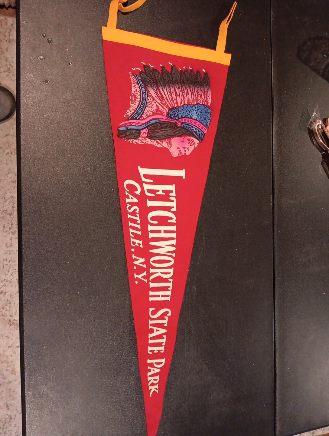 Vintage Letchworth State Park Castile NY Felt Pennet 22 Inches