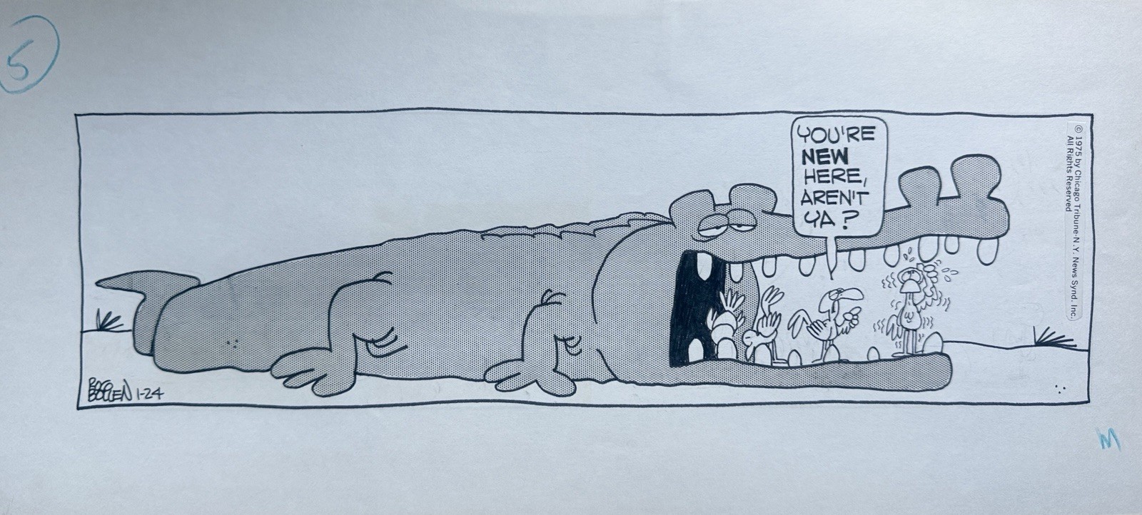 Original Comic Strip Animal Crackers Daily By Rog Bollen Signed Alligator