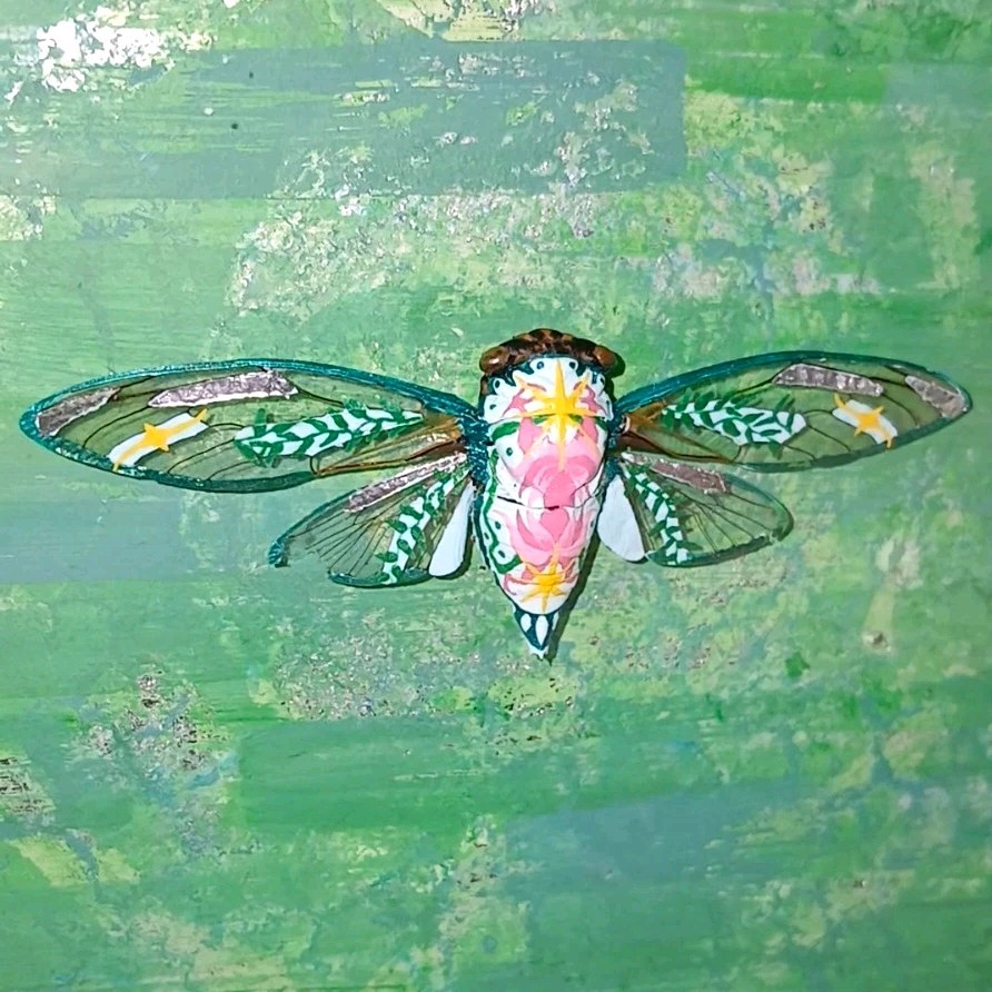 Wall Hanging Shadow Box Handpainted Cicada Specimen Entomology Oddity Art Gift