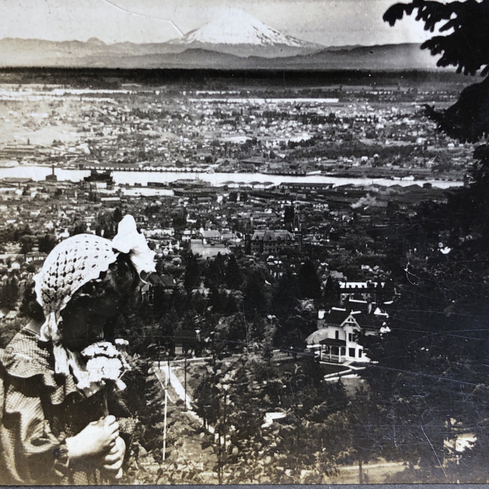 Portland Oregon Stereoview Keystone View Co. 1898 Bird's-eye City View