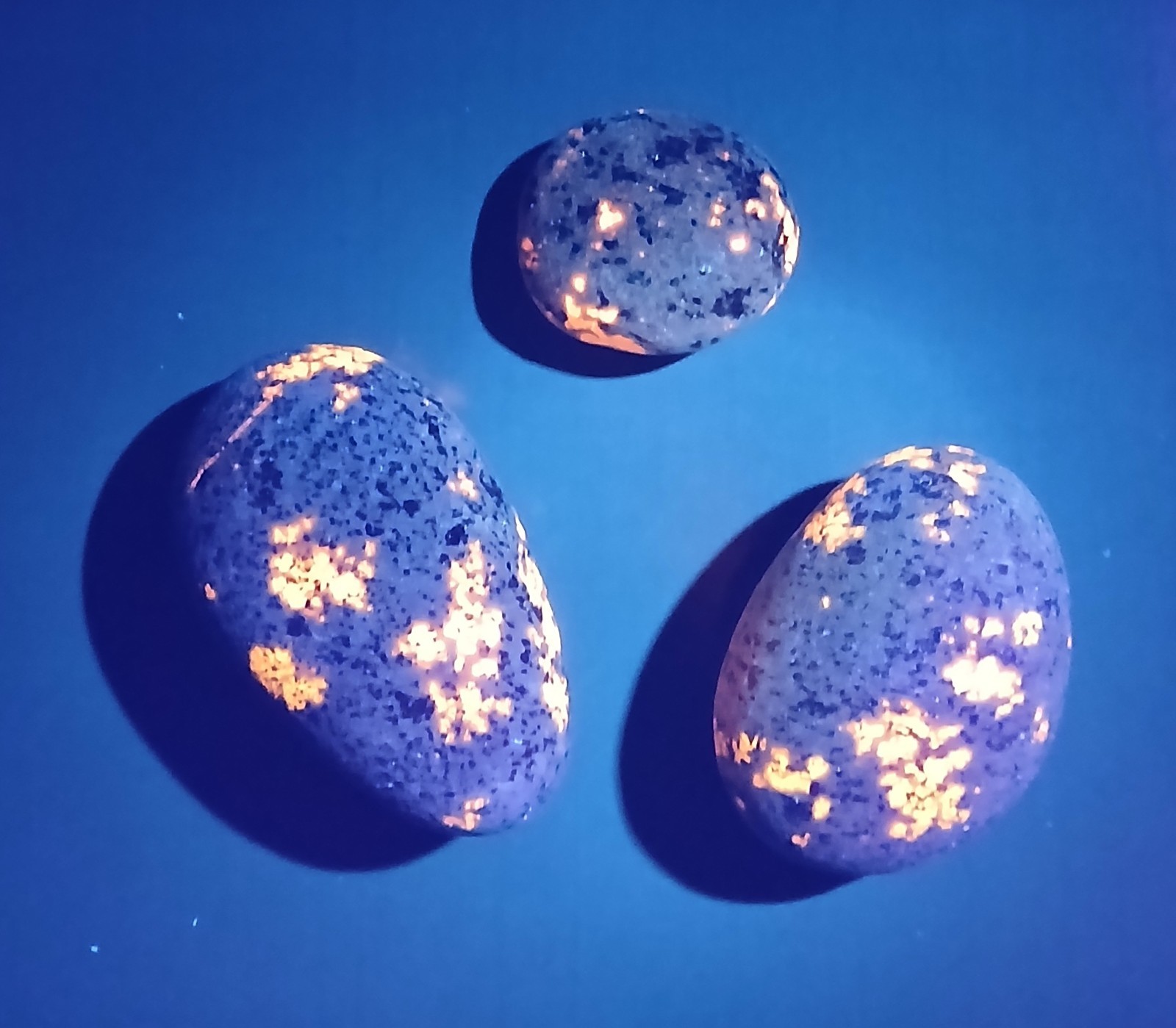 Fluorescent Sodalite ( Yooperlite )   A Group Of 3 Bright Stones 2.8 oz Total 