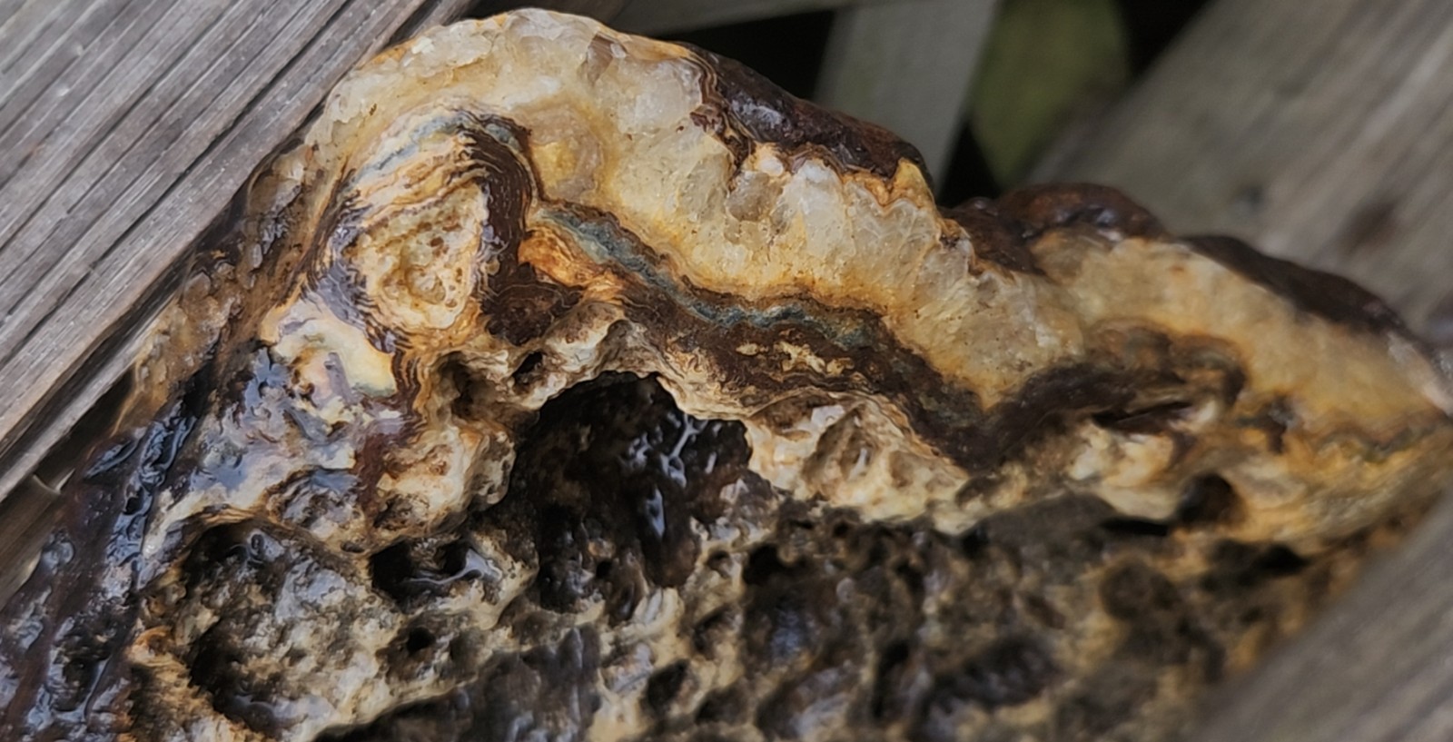 Large 4.5 Pound Crowley Ridge Agate Iron Colorful Bands Collector / Lapidary L13