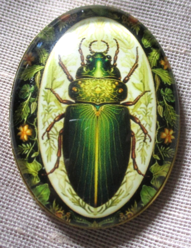 XL GLASS PICTURE BUTTON  LARGE REALISTIC GREEN BEETLE BUG GREEN FLOWERS BORDER