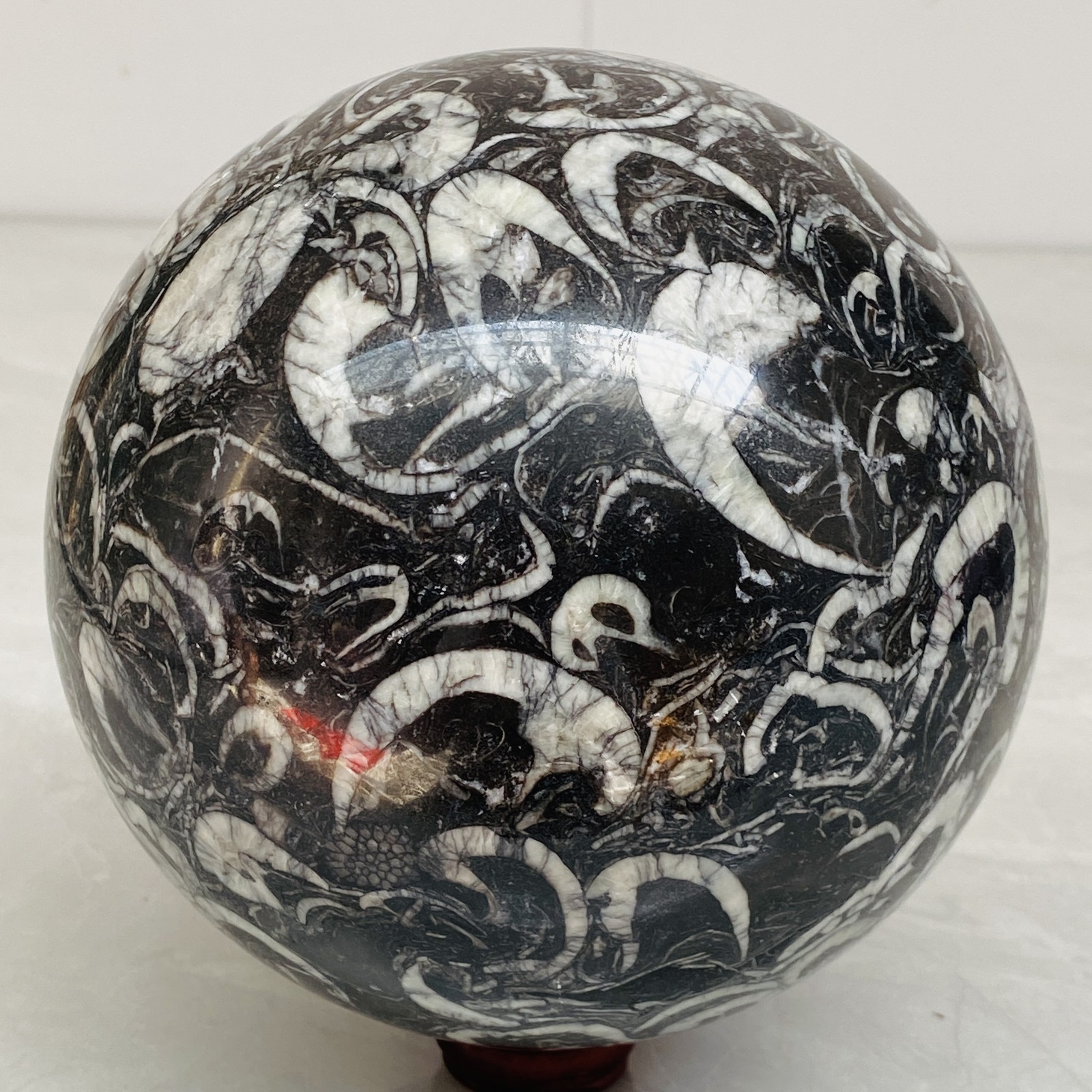 Natural Shell Jasper Thousand Eye Stone Crystal Polished Ball Healing (10.49LB)