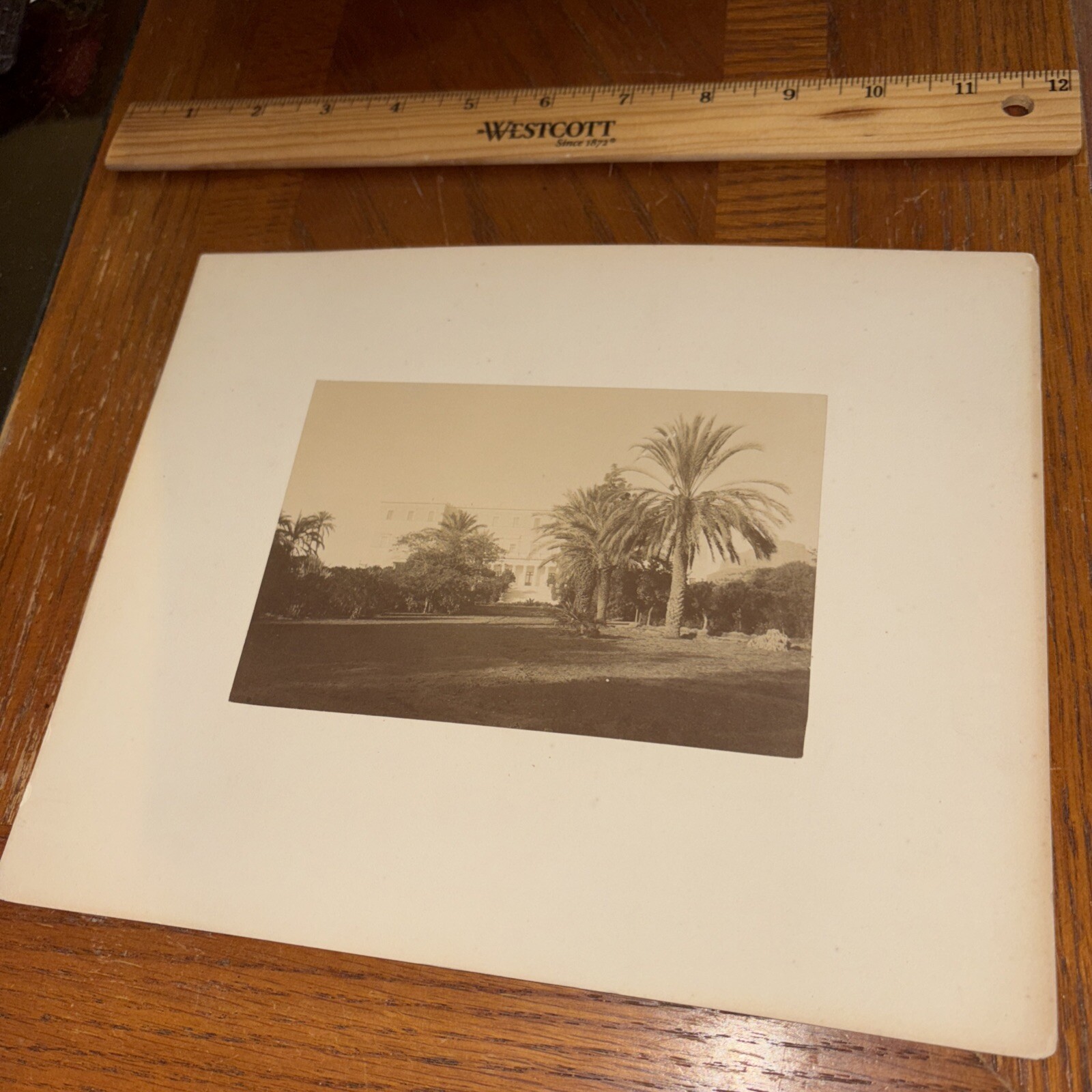 Vintage Athens King’s Palace from Royal Garden Mounted Greek Architecture Photo