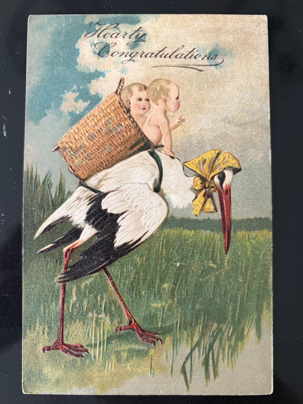 Antique PFB Stork Twins Baby Postcard Hearty Congratulations Embossed Germany