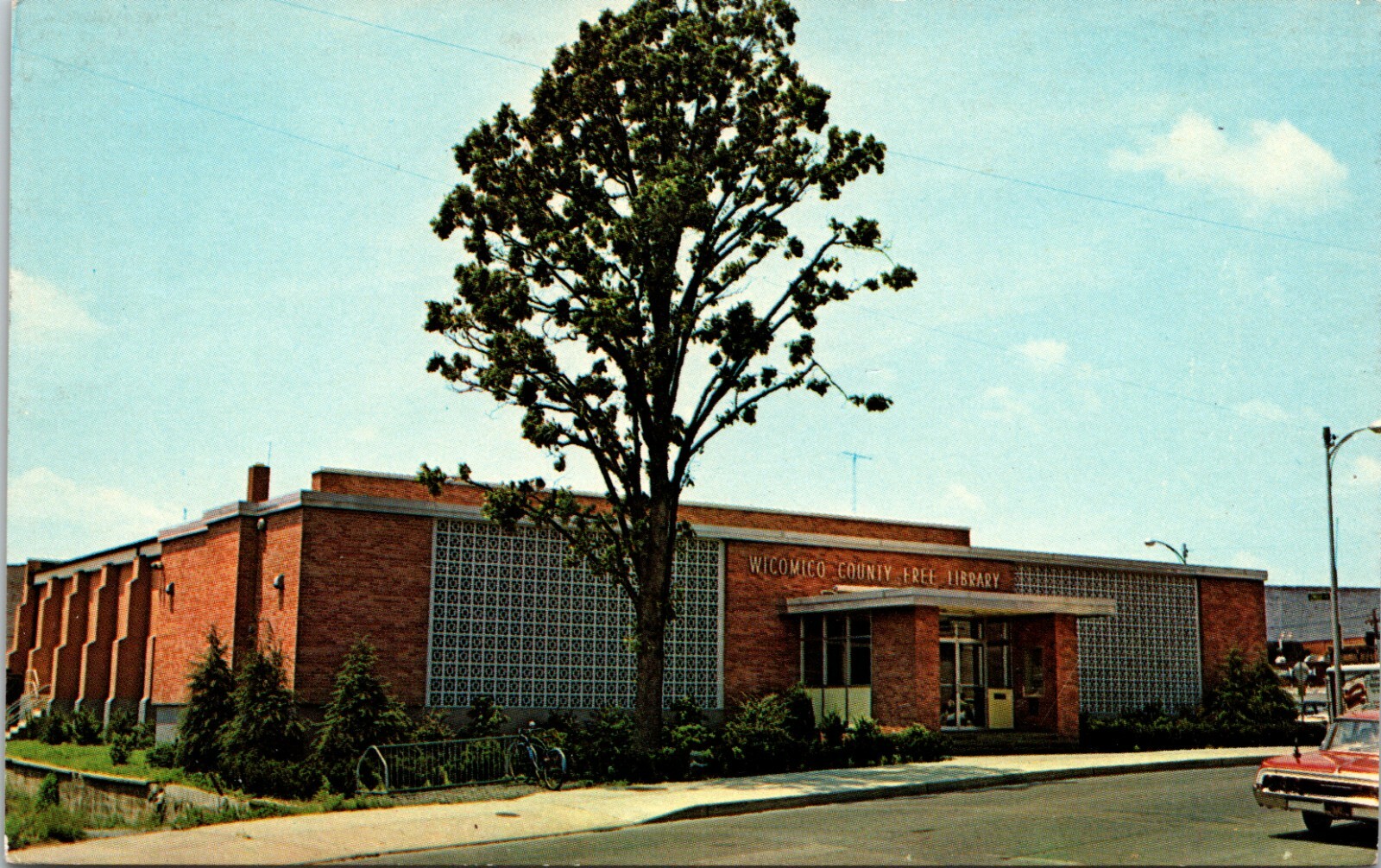 View of Wicomico County Free Library Maryland Vintage Postcard