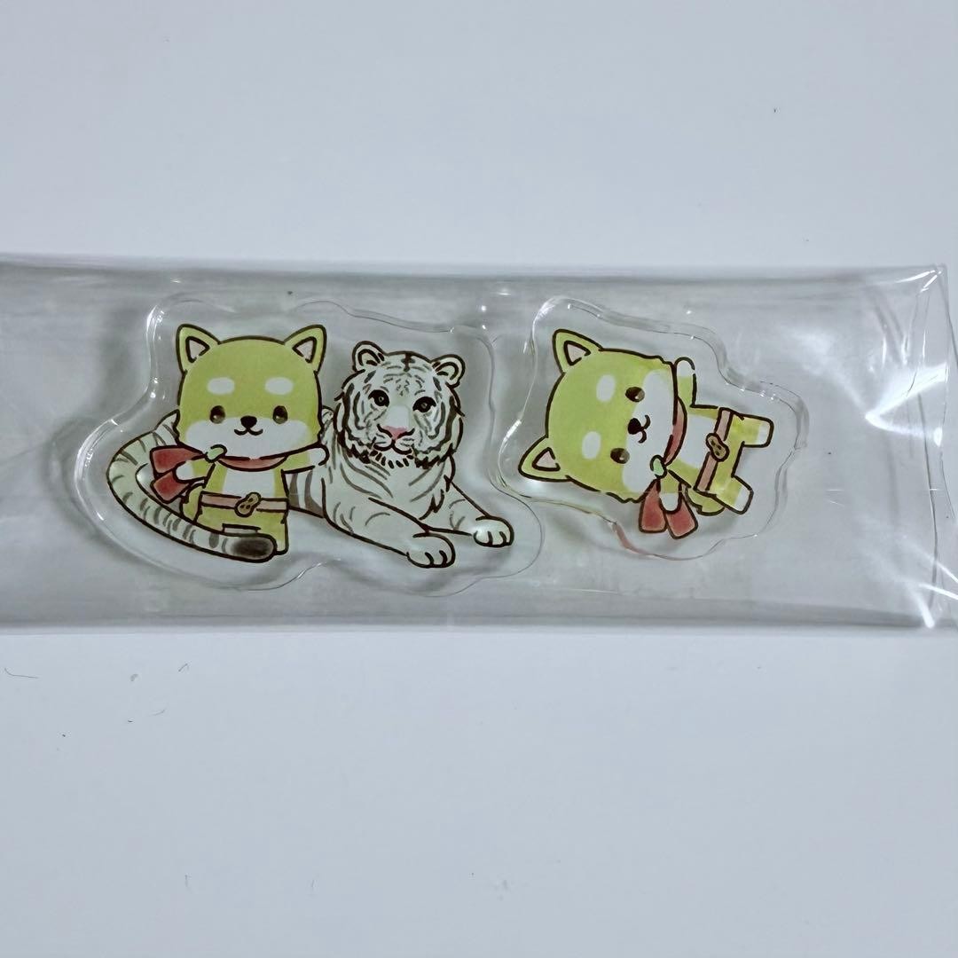 JOCHUM Tobu Dobutsukoen Acrylic Parts JO1 Mamehara Issei Mamechii