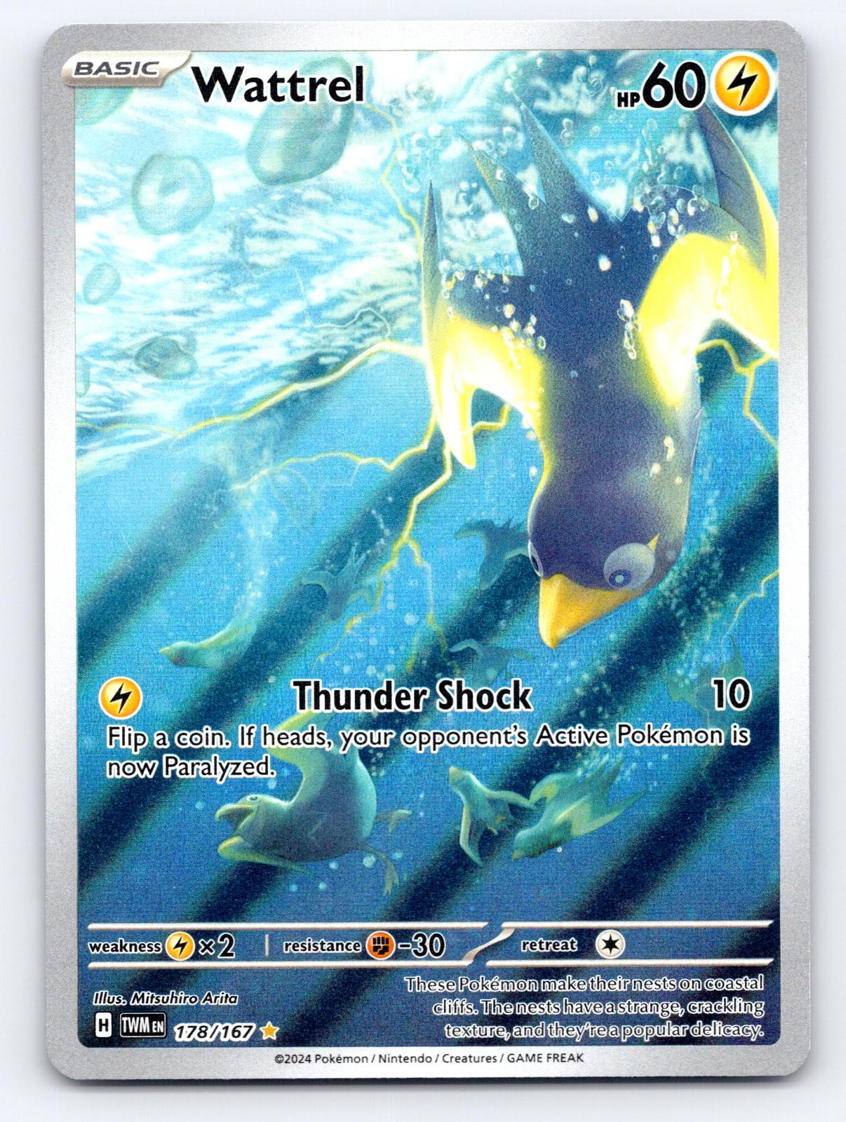 Wattrel 178/167 Illustration Rare Twilight Masquerade Pokemon Holo LP