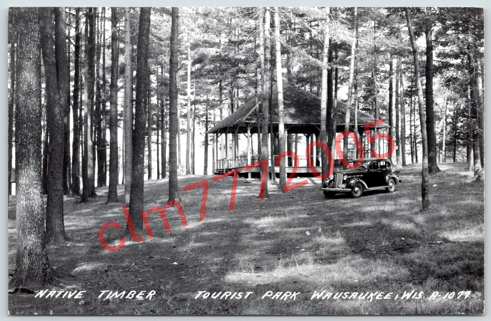 Postcard RPPC Wausaukee WI Native Timber Tourist Park 1930s Packard R165