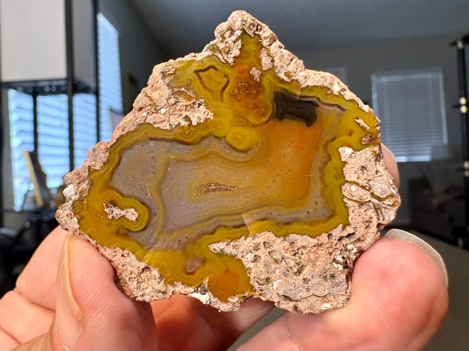 3.95 Gram Thunderegg Pujiang, China Half Nodule - Polished