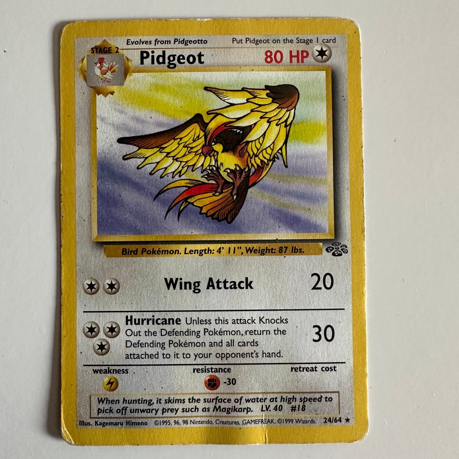 Pidgeot 24/64 Jungle Pokémon Card Non-Holo Rare TCG WOTC 1999 HP Heavily Played
