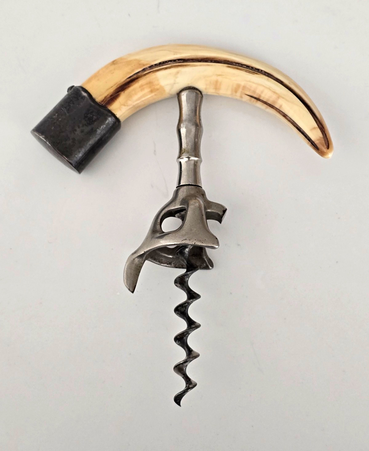 Antique c1890 Wild Boar Tusk Corkscrew Sterling Silver Walker Bell Mechanism