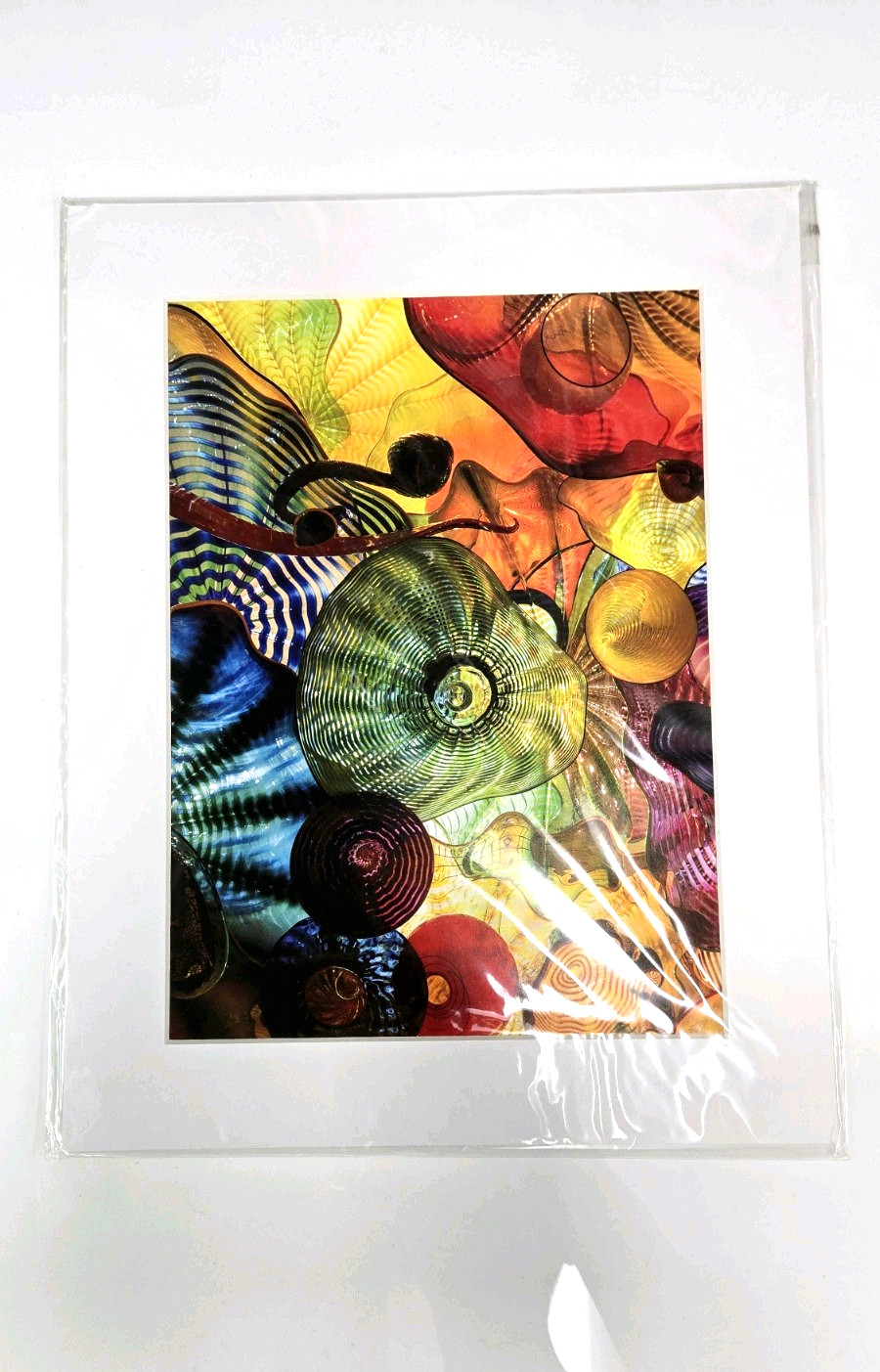 Dale Chihuly 8\