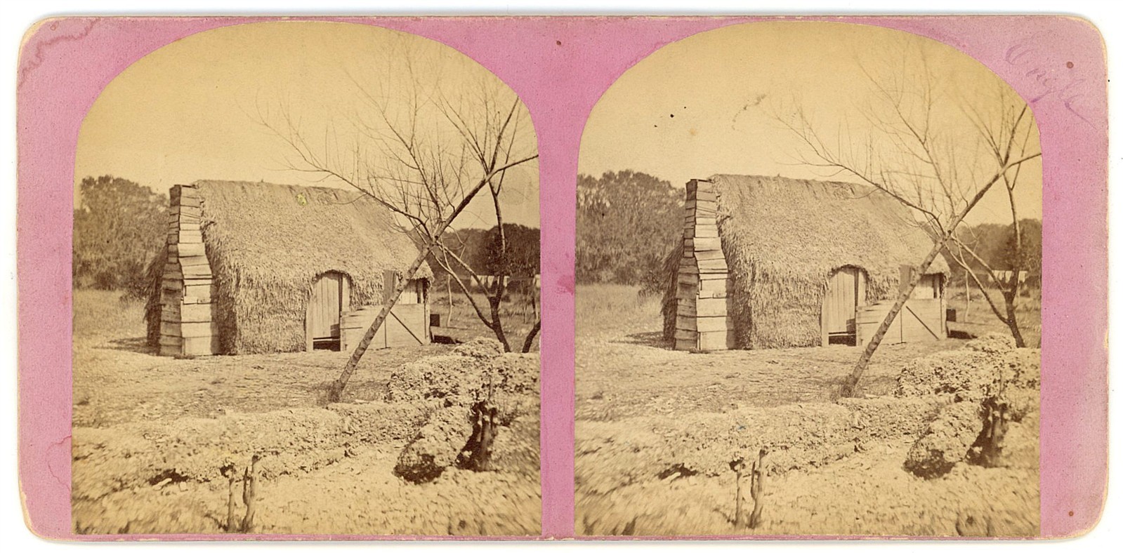 GEORGIA STEREOVIEW - Cumberland Island - Thatched Cabin - 1870s VERY RARE
