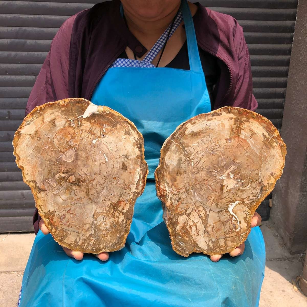 6.62LB 2Pcs Natural Petrified Wood Crystal Fossil Slice Shape Specimen Healing