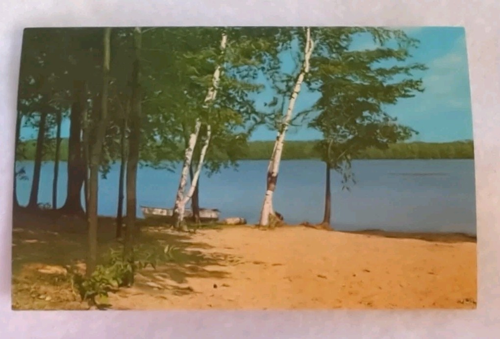 Pine Lake Near Wellston, Michigan Postcard Vintage Antique