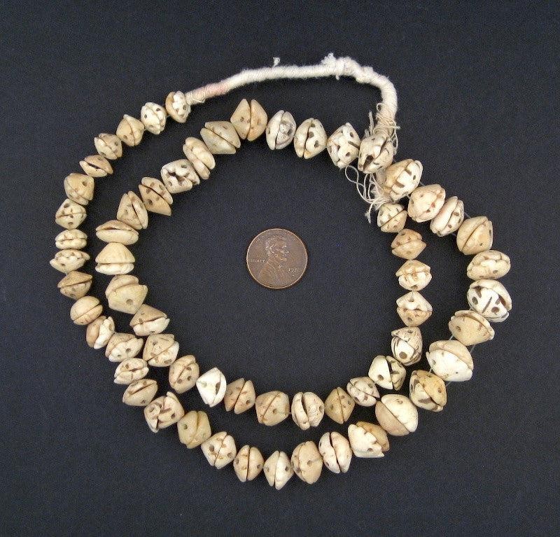 Antique Mauritanian Conus Shell Beads 11mm African White Unusual Handmade