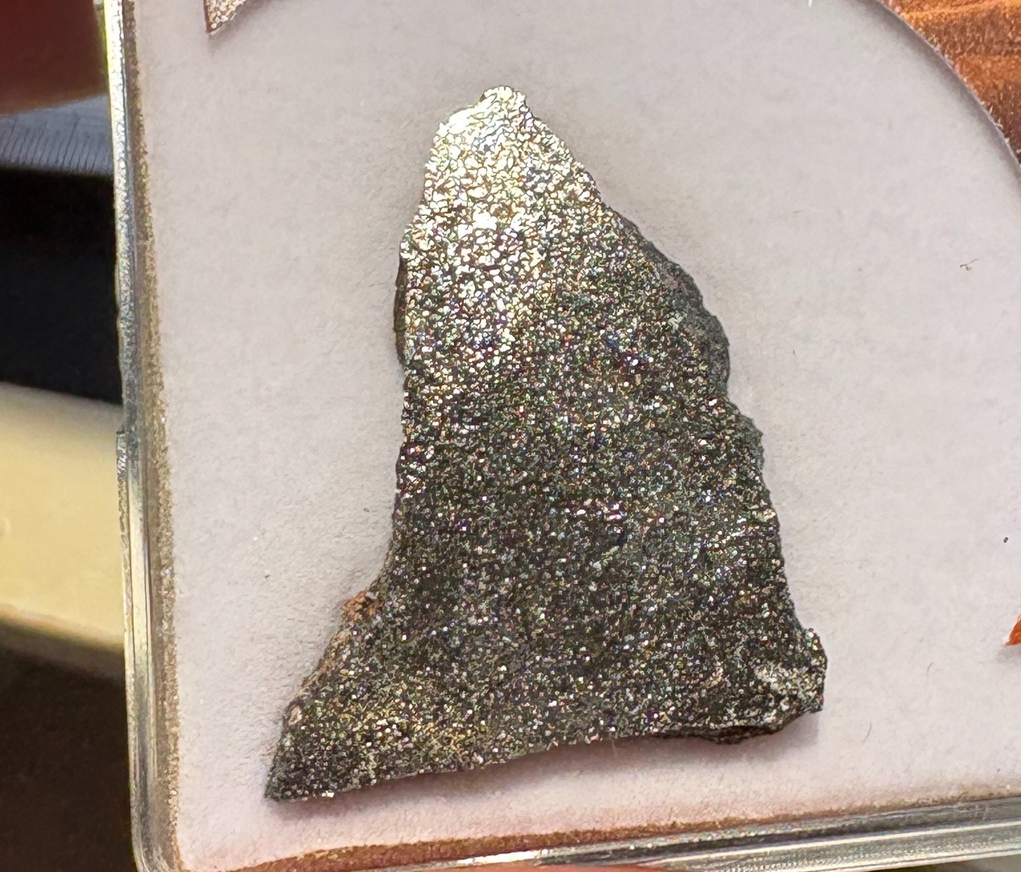 2.42 gram NWA 15893 meteorite slice Enstatite chondrite EH6 Mark Lyon provenance