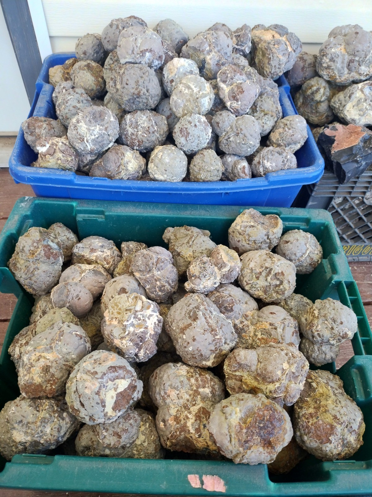 Thundereggs, Priday Deposits, Oregon, 4 Pound lot, Uncut, Agate, Good Coloring