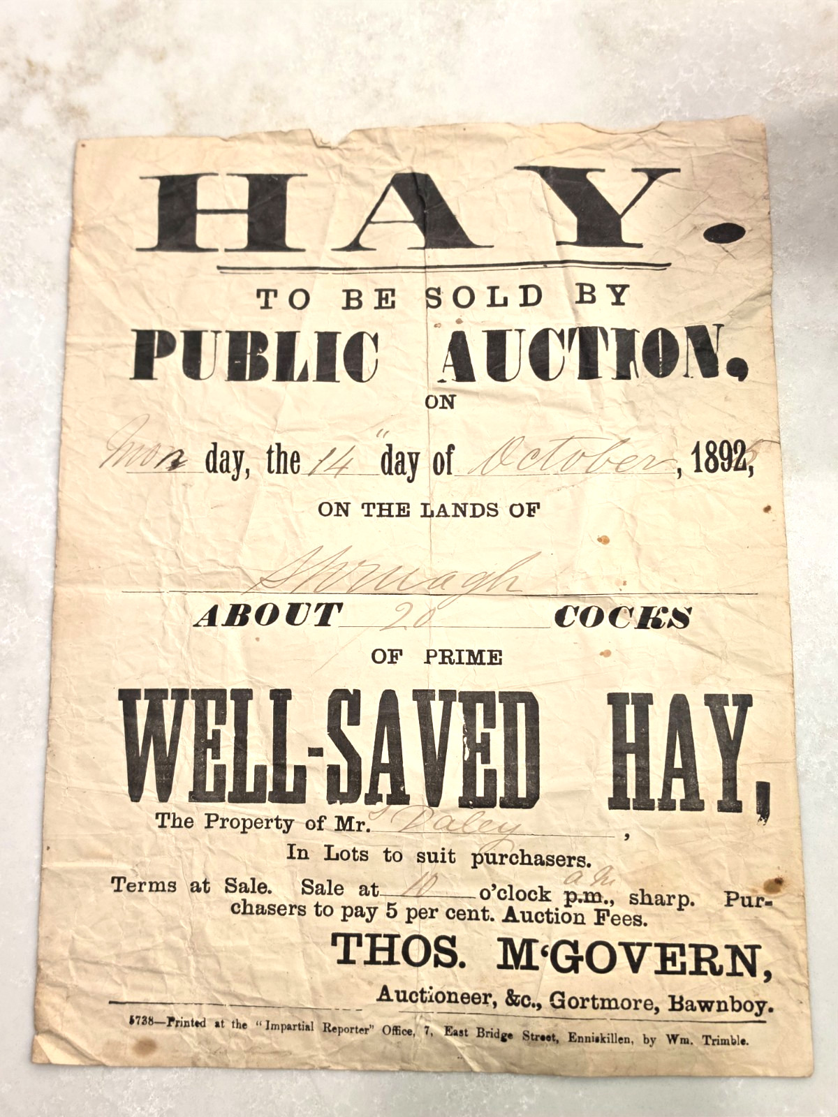 1892 Antique Hay Public Auction Broadside Irish Farming Advertising Ephemera