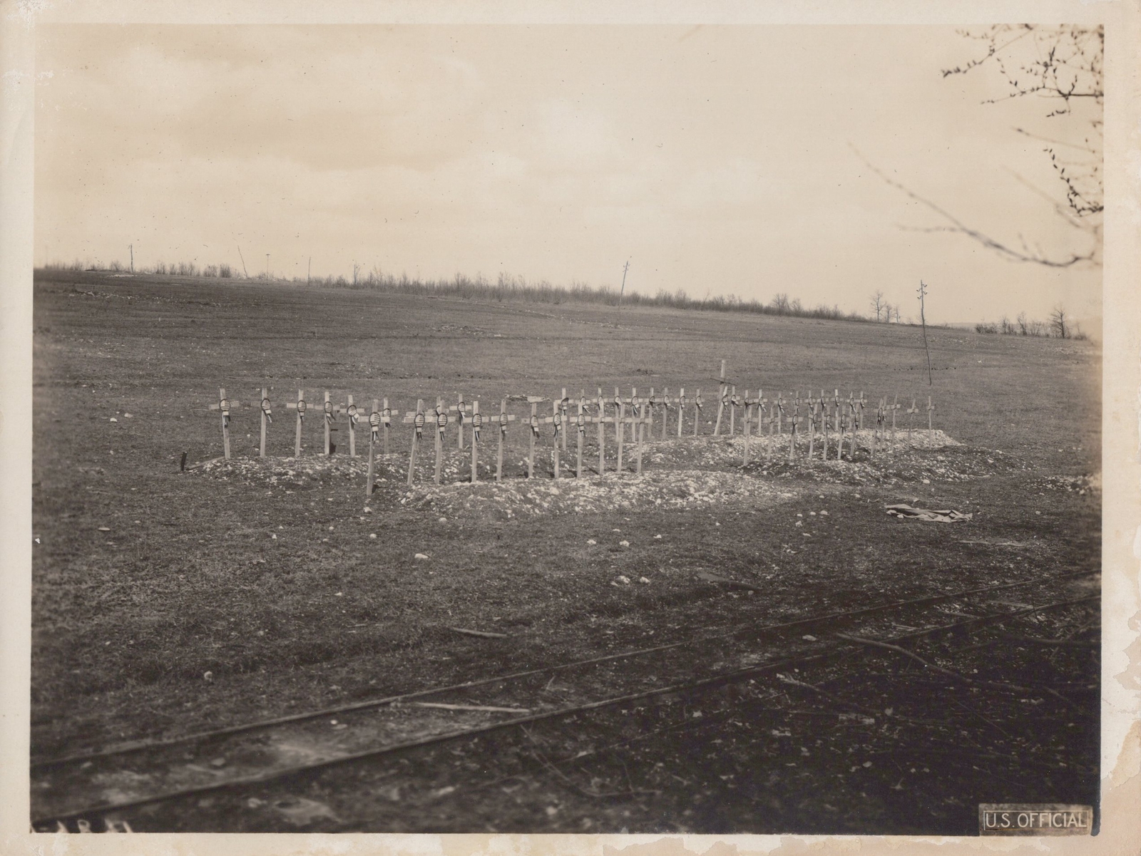 WW1 US AEF Official 1910s Military Cemetery Battlefield Crosses Rare Photo