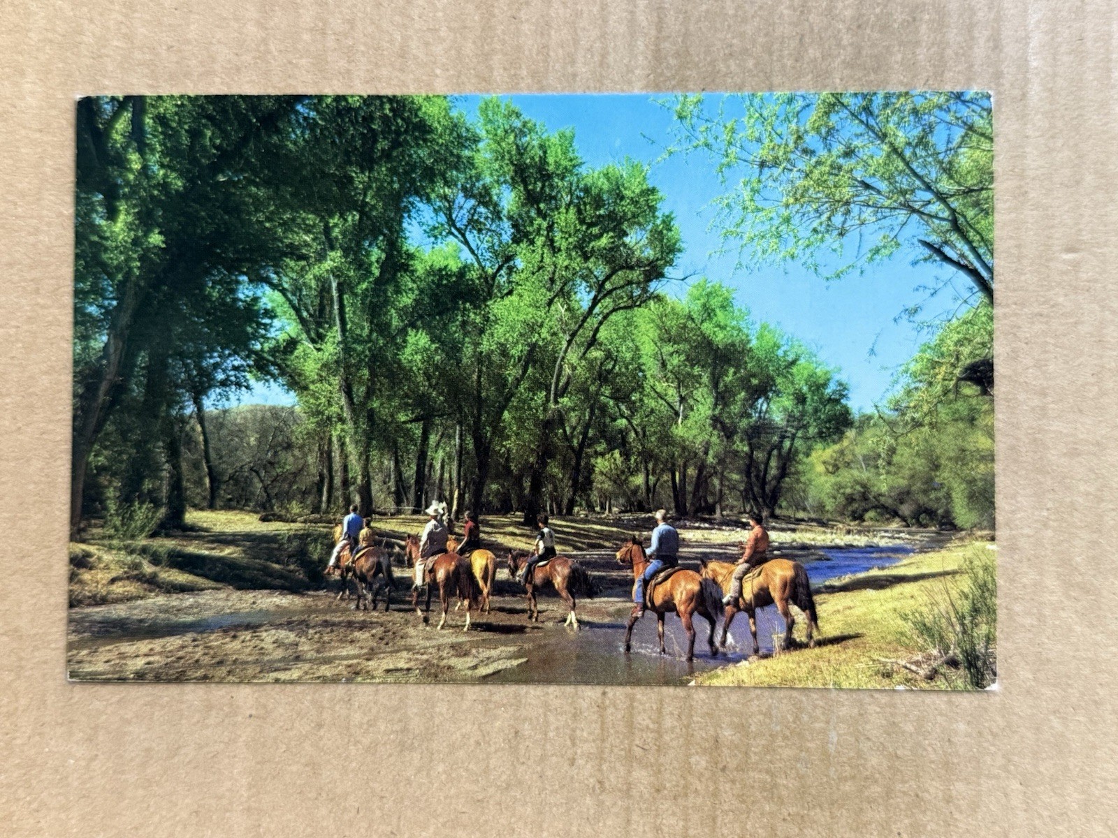 Postcard Patagonia Arizona Circle Z Ranch Horse Horseback Riding Sonoita Creek