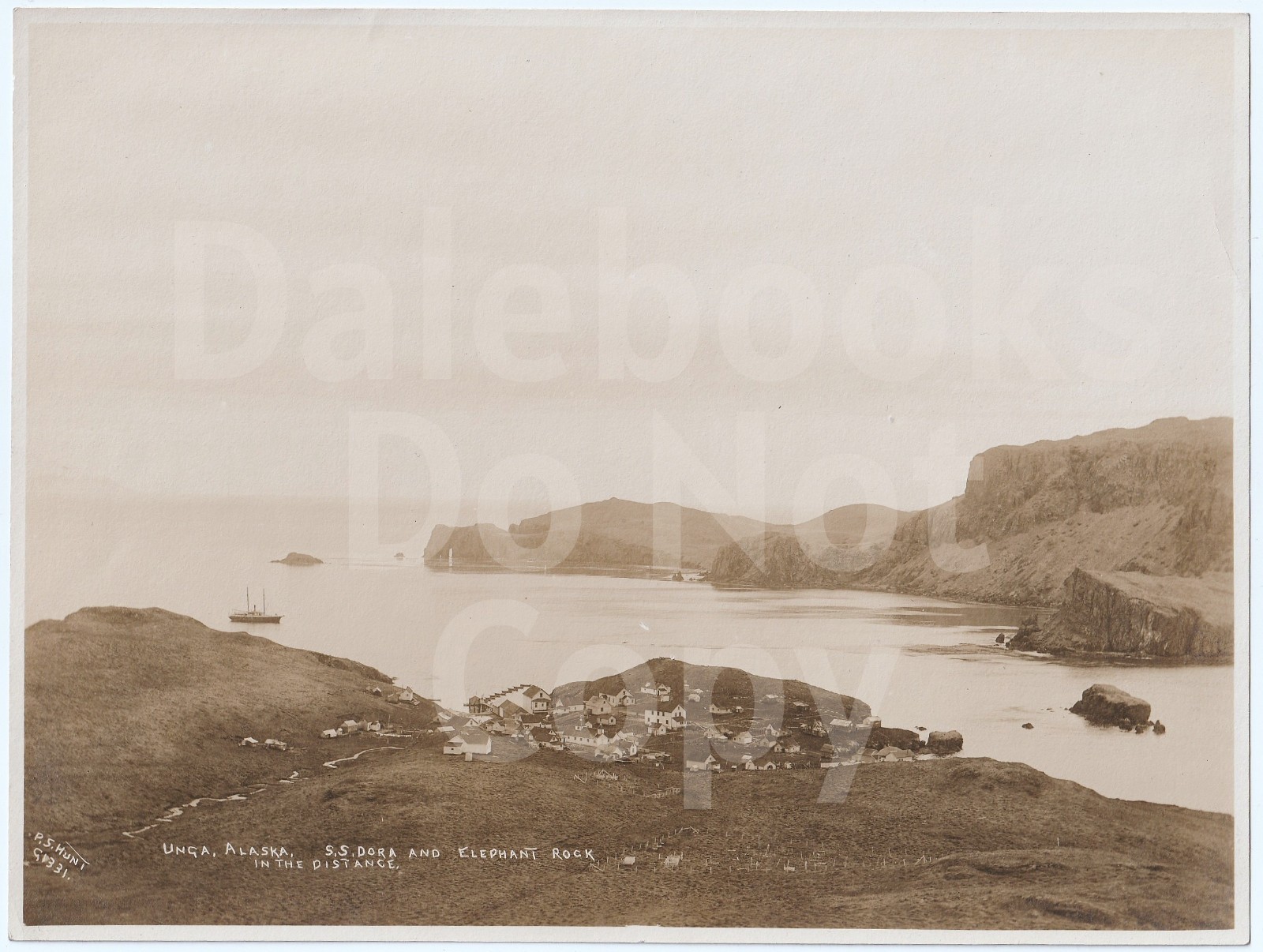 RARE Orig Photo  - Unga  Alaska SS Dora & Elephant Rock - ca 1907  by P.S. Hunt