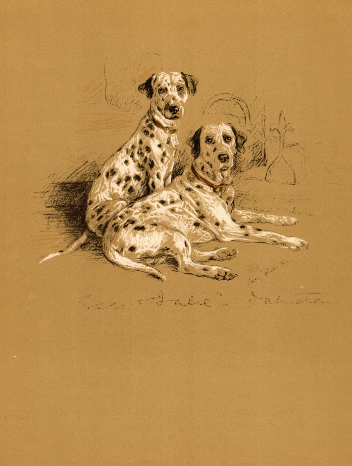 1940 Antique Dalmatian Dog Print Lucy Dawson Dalmatian Art Illustration  7113h