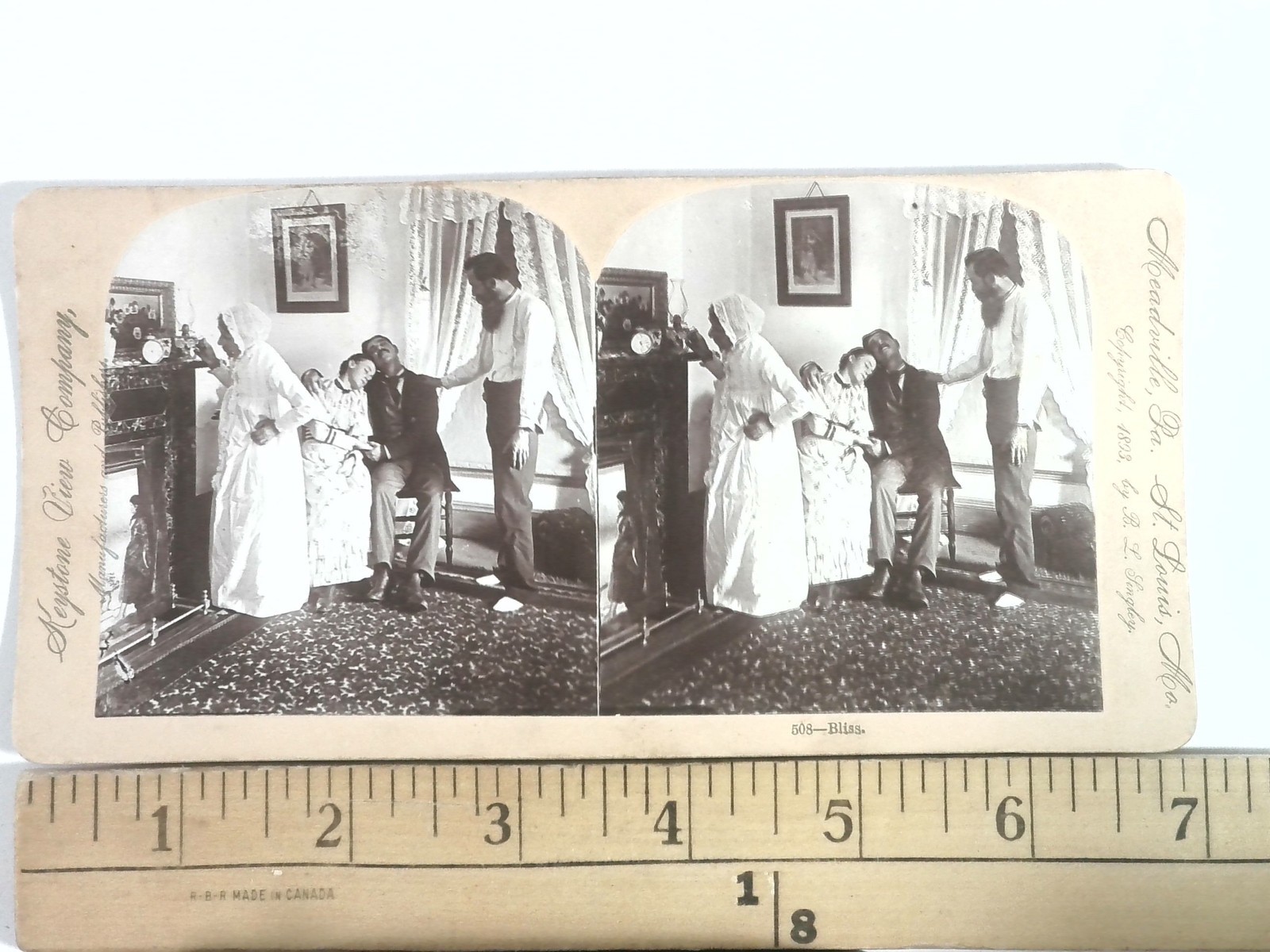 Bliss Family Scene Stereoview Keystone View Co. 1893 Curved Mount Victorian