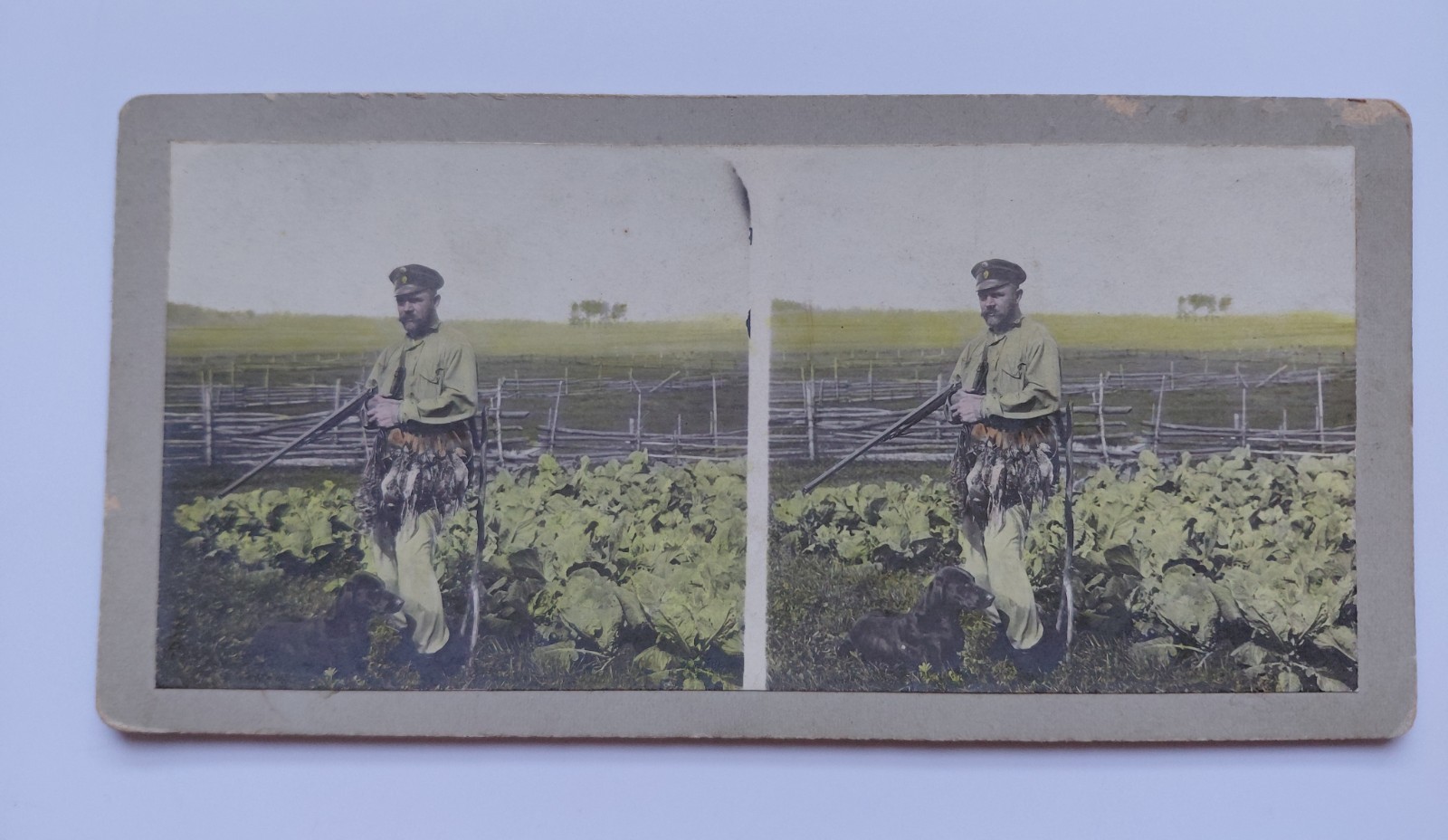 1900s Russia Hunting Stereoview Hand Colored Photo Hunter Dog Game Birds