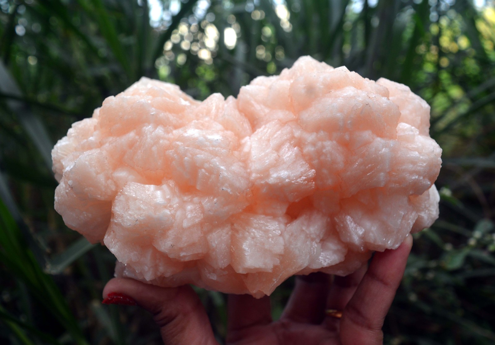 stilbite crystals minerals specimen o-10